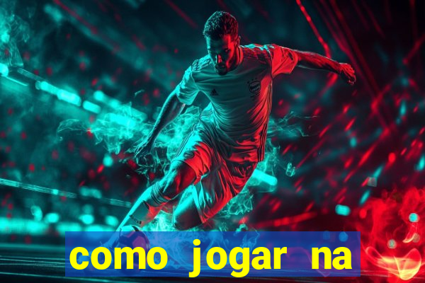 como jogar na lotinha do jogo do bicho